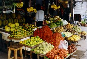 Früchtemarkt in Chiang

Mai. cnx062_4.jpg (17886 Byte)