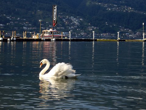 lake_lago_maggiore_03